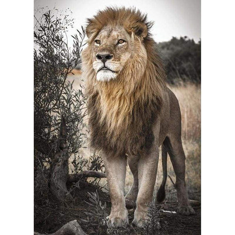 Lion Full Drill - 5D Diy Diamond Painting Kits  Mosaic - NEEDLEWORK KITS
