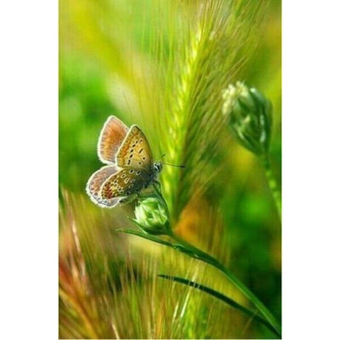New Hot Sale Stitch Fast Delivery Butterfly Full Drill - 5D Diy Crystal Painting VM8611 - NEEDLEWORK KITS