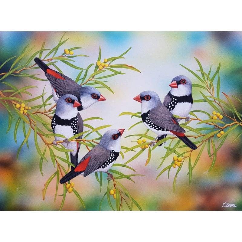 Buy Budgies Diamond Painting Kits Australia