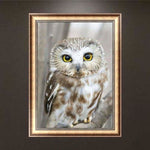 Full Drill - 5D Diamond Painting Kits Lovely White Owl - 4