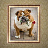 Full Drill - 5D DIY Diamond Painting Kits Cute Pet Dog