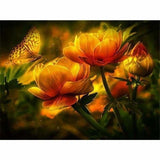 Full Drill - 5D DIY Diamond Painting Kits Dream Orange