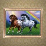 Full Drill - 5D Diy Diamond Painting Kits Oil Painting