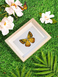 Butterfly dreams 12 SET - Diamond Painting