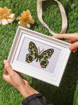 Butterfly dreams 12 SET - Diamond Painting