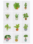 Plant magic 12 SET - Diamond Painting