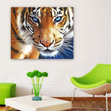 2019 New Hot Sale Blue Eyed Tiger Diy 5D Embroidery Diamond VM1142 - NEEDLEWORK KITS