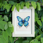 Butterflies Dreamly Colours 12 SET - Diamond Painting