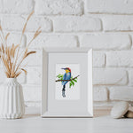 Birdscape 12 SET - Diamond Painting