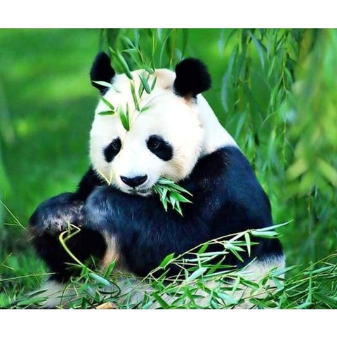 Hot Sale Cute Animal Panda Picture Full Drill - 5D Diy Diamond Painting Kits VM7854 - NEEDLEWORK KITS