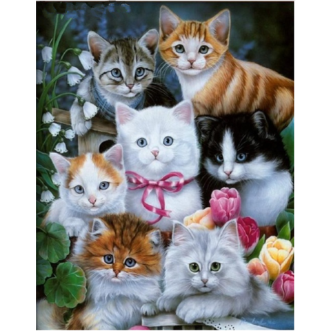 Hot Sale Wall Decor Animal Cute Cats Full Drill - 5D Diy Painting By Crystal Kits VM7455 - NEEDLEWORK KITS