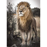 Lion Full Drill - 5D Diy Diamond Painting Kits  Mosaic - NEEDLEWORK KITS