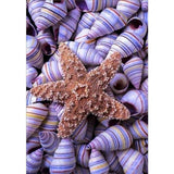 Full Drill - 5D DIY Diamond Painting Kits Summer Beach Starfish Shell Pebble - NEEDLEWORK KITS