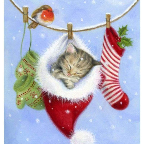 Full Drill - 5D DIY Diamond Painting Kits Winter Christmas Card Cute Cat Inside Hat - NEEDLEWORK KITS