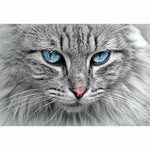 Blue Eyed Cat- Full Drill Diamond Painting - Special Order -