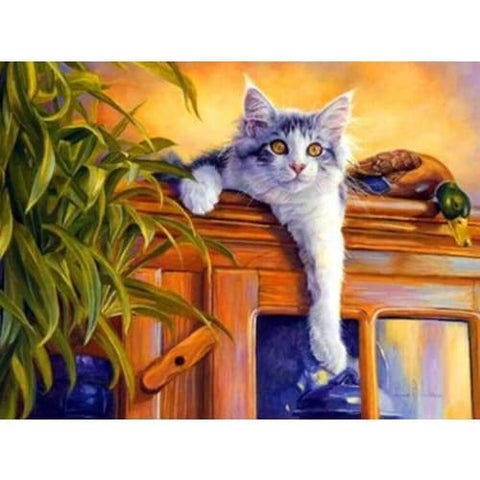 Cat On Cupboard- Full Drill Diamond Painting - Special Order