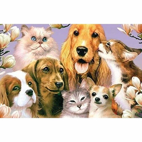 Cats And Dogs- Full Drill Diamond Painting - Special Order -