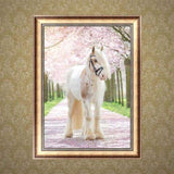 Full Drill - 5D DIY Diamond Painting Kits Romantic White Horse - NEEDLEWORK KITS