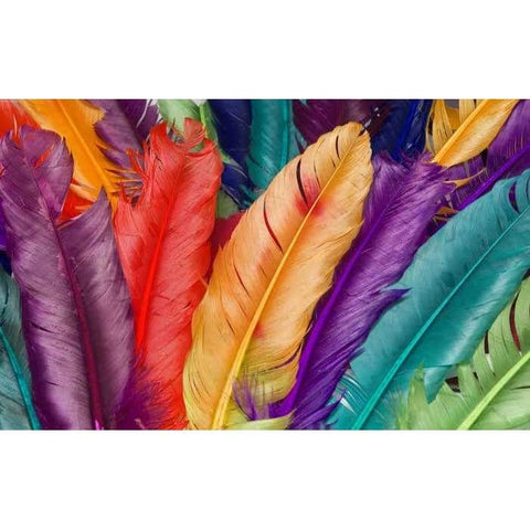 Feathers (2)- Full Drill Diamond Painting Abstract - Special