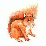 Full Drill - 5D Diamond Painting Kits Cartoon Squirrel