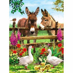Full Drill - 5D Diamond Painting Kits Colored Drawing Duck 