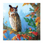 Full Drill - 5D Diamond Painting Kits Cool Owl On The 