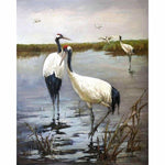 Full Drill - 5D Diamond Painting Kits Crowned Cranes in the 