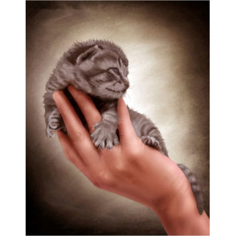 Full Drill - 5D Diamond Painting Kits Cute Cat Baby In Hand 