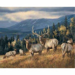 Full Drill - 5D Diamond Painting Kits Deers on the Grassland