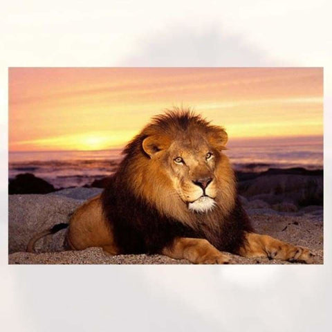 Full Drill - 5D Diamond Painting Kits Fierce Lion Portrait -