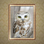 Full Drill - 5D Diamond Painting Kits Lovely White Owl - 4