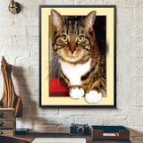 Full Drill - 5D DIY Diamond Painting Kits Cartoon Cute Cat -