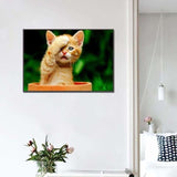 Full Drill - 5D DIY Diamond Painting Kits Cartoon Cute Cat -