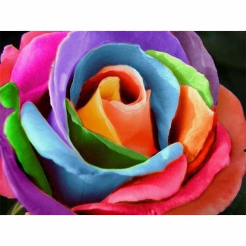 Full Drill - 5D DIY Diamond Painting Kits Colorful Flower - 