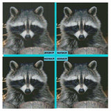 Full Drill - 5D DIY Diamond Painting Kits Cute Raccoon