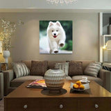 Full Drill - 5D DIY Diamond Painting Kits Cute White Pet Dog