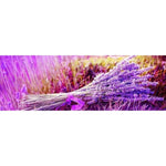 Full Drill - 5D DIY Diamond Painting Kits Lavender Bouquet -