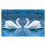 Full Drill - 5D DIY Diamond Painting Kits Loving Swan in the