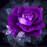 Full Drill - 5D DIY Diamond Painting Kits Pretty Purple Rose