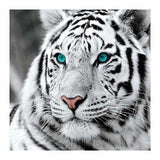 Full Drill - 5D DIY Diamond Painting Kits Serious Tiger