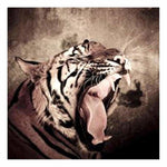 Full Drill - 5D DIY Diamond Painting Kits Sleeped Tiger