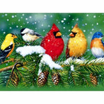 Full Drill - 5D DIY Diamond Painting Kits Winter Bird Family