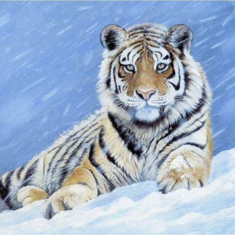 Full Drill - 5D DIY Diamond Painting Winter Tiger’s Gaze - 