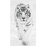 Full Drill - 5D DIY Diamond Painting Winter White Tiger - Z9