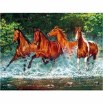 Hot Sale Animal Horse Full Drill - 5D Diy Diamond Painting 