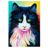 Full Drill - 5D DIY Diamond Painting Kits Watercolor Cool Cat - NEEDLEWORK KITS