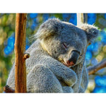 Koala-Aus - Full Drill Diamond Painting - Special Order - 