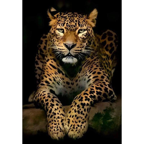 Leopard on Black - Full Drill Diamond Painting - Special 