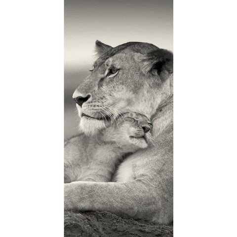 Mum And Baby Tiger 01 - Full Drill Diamond Painting - 