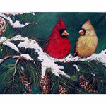 New Christmas Bird Bling Bling Art Diamond Painting Kits 
